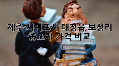 제주 서귀포시 대정읍 보성리 중고차 가격 비교