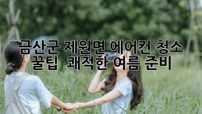 금산군 제원면 에어컨 청소 꿀팁 🏡✨: 쾌적한 여름 준비!