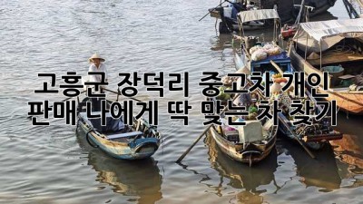 고흥군 장덕리 중고차 개인 판매: 나에게 딱 맞는 차 찾기!